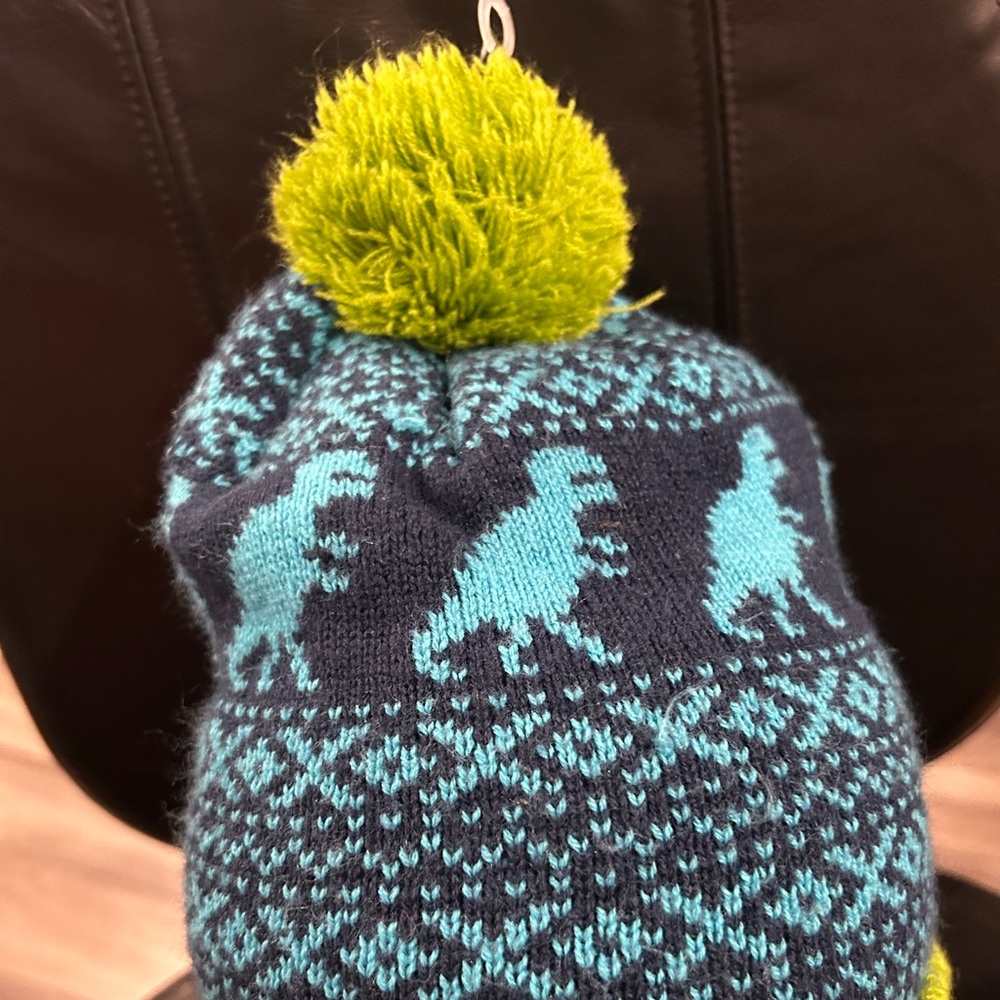 Urban Pipeline  Dinosaur Knit Beanie with Pom Pom NWOT